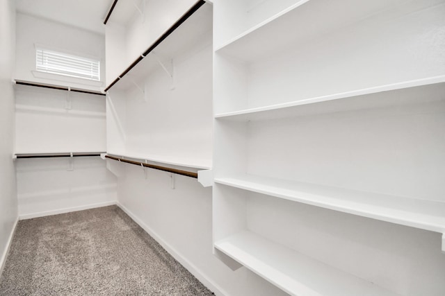 spacious closet featuring carpet