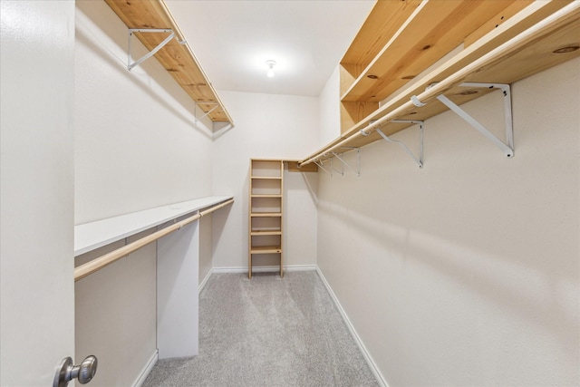 spacious closet featuring light carpet