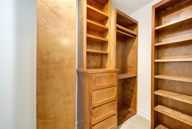 view of walk in closet