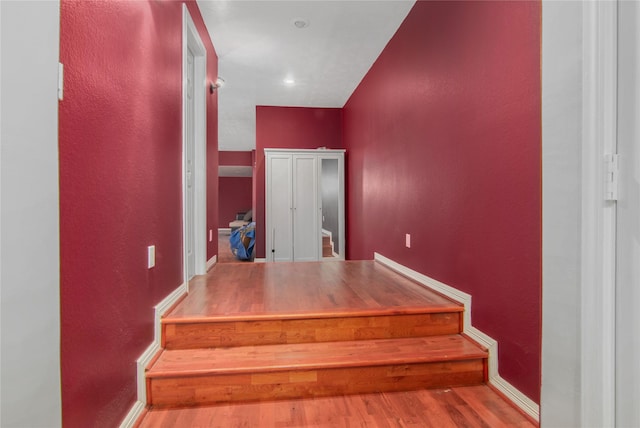 staircase featuring wood-type flooring