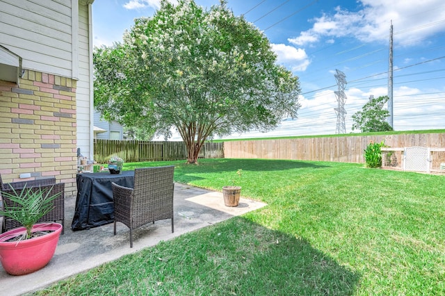 view of yard featuring a patio area