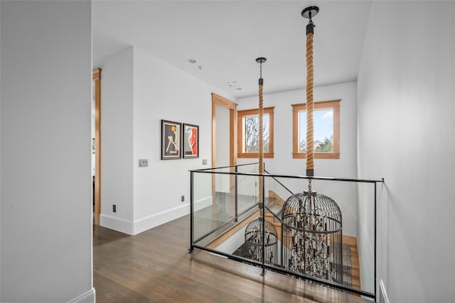 corridor with dark hardwood / wood-style floors