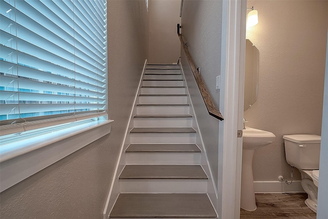 stairs with hardwood / wood-style flooring