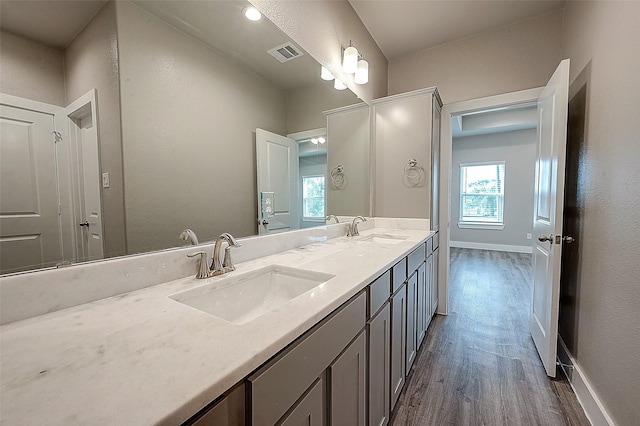 bathroom featuring hardwood / wood-style flooring and vanity