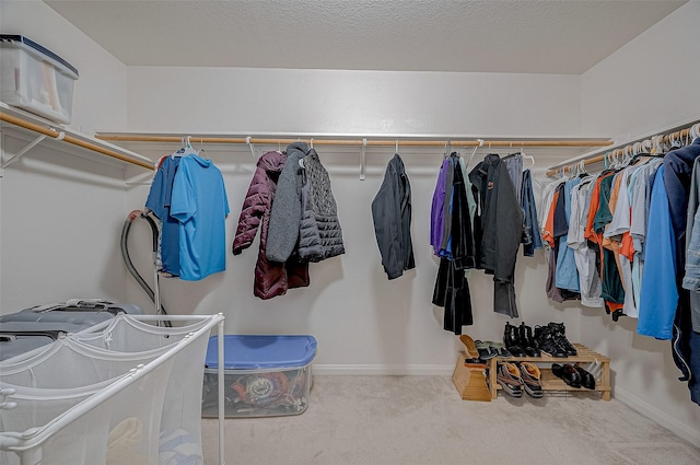 spacious closet featuring light carpet