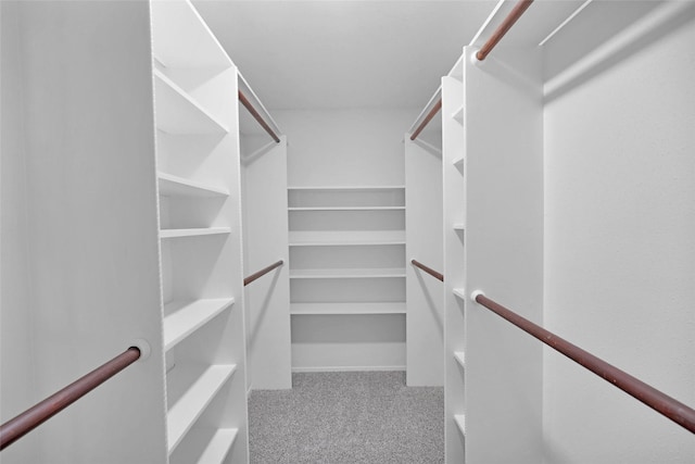 walk in closet featuring carpet