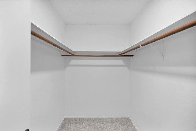 spacious closet with carpet