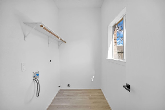 laundry area with hookup for an electric dryer, washer hookup, and light hardwood / wood-style flooring