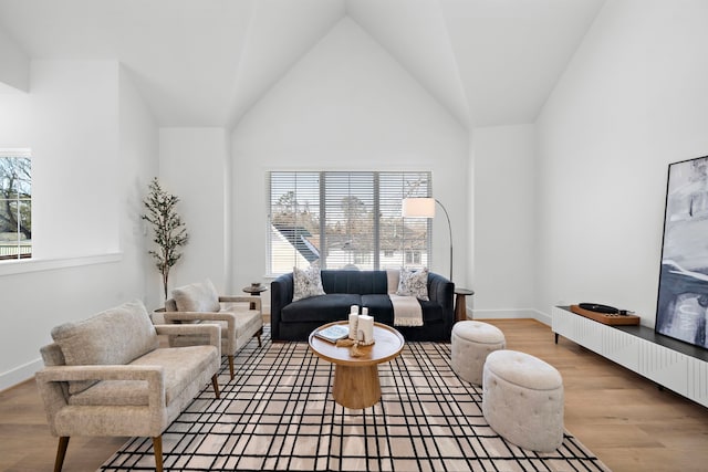 living room featuring wood-type flooring and high vaulted ceiling