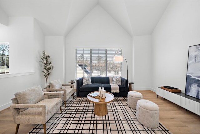 845 Elkhart St Unit B, Houston, TX 77091 - living area featuring high vaulted ceiling and wood finished floors