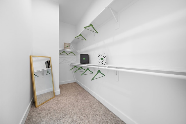 spacious closet with light carpet