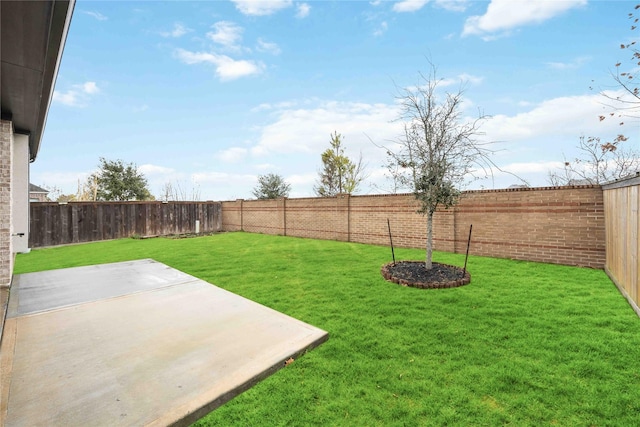 view of yard with a patio