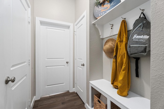 mudroom featuring dark hardwood / wood-style flooring