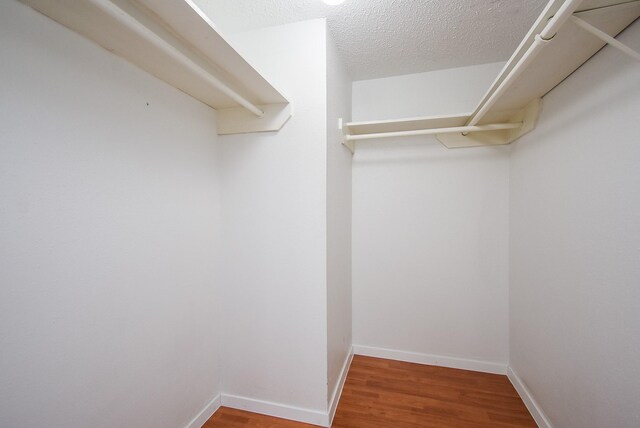 spacious closet featuring hardwood / wood-style floors