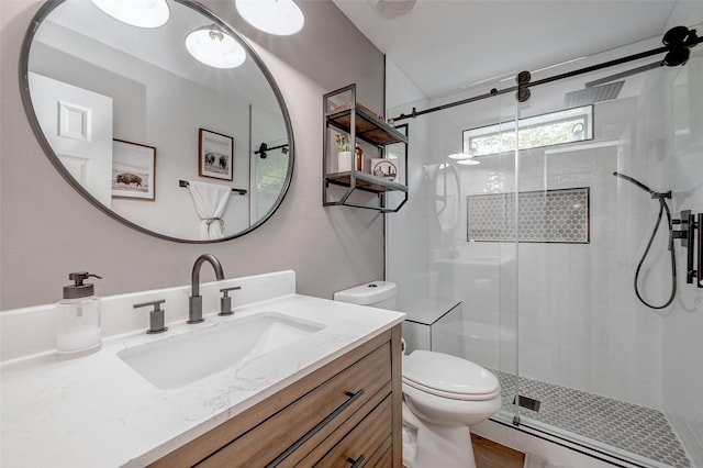 bathroom with vanity, toilet, and walk in shower