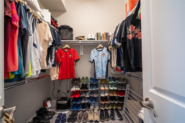 view of walk in closet