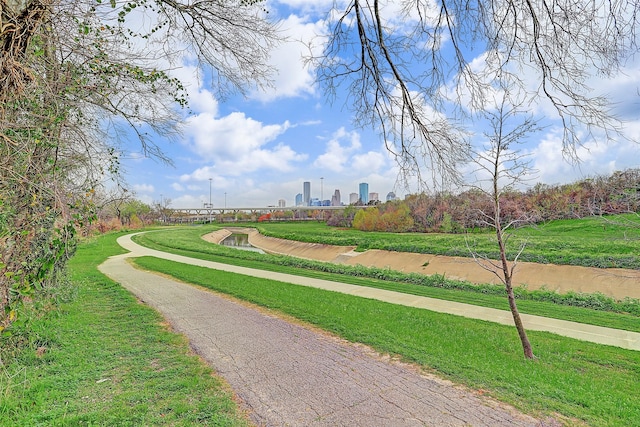 view of property's community with a yard