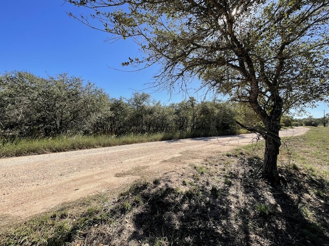 Listing photo 3 for LOT3 County Road 14, Hallettsville TX 77964