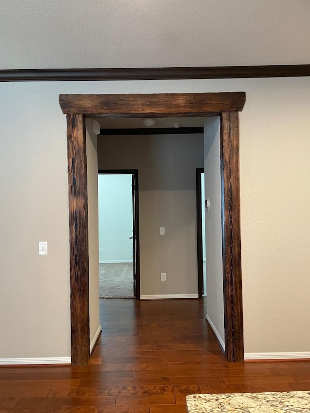 hallway featuring dark wood-type flooring and ornamental molding