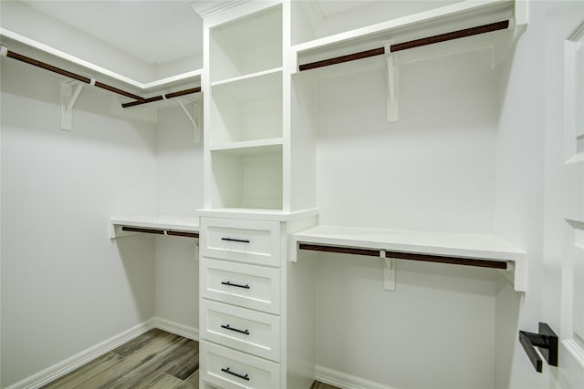 spacious closet featuring light wood-type flooring