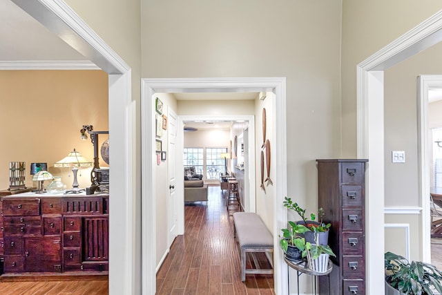 hall featuring hardwood / wood-style flooring and crown molding