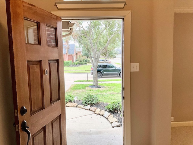 foyer entrance with a healthy amount of sunlight