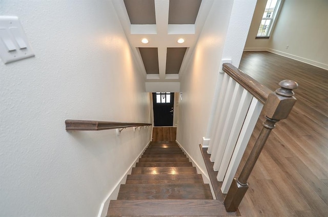 staircase featuring wood-type flooring and plenty of natural light