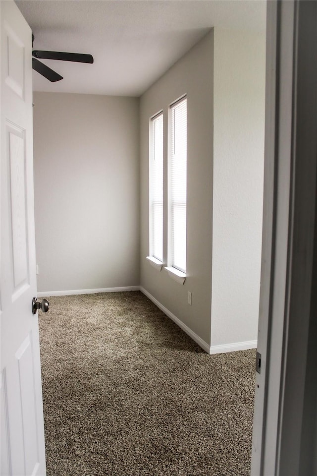 spare room featuring ceiling fan and carpet flooring