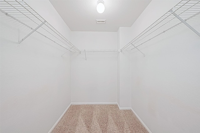 walk in closet featuring carpet floors