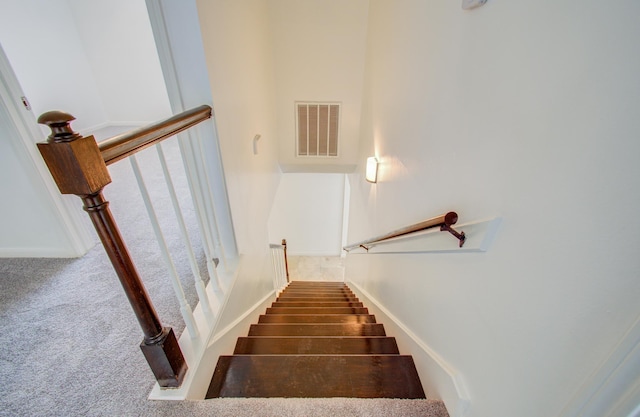 staircase featuring carpet flooring