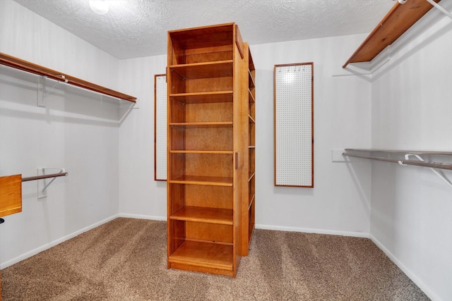 spacious closet with carpet floors