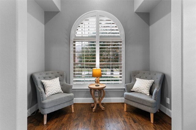 sitting room featuring dark hardwood / wood-style floors