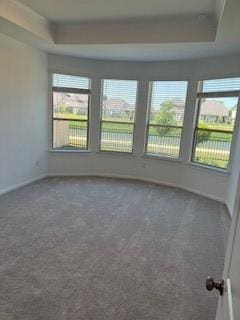 carpeted spare room with a tray ceiling, baseboards, and a healthy amount of sunlight