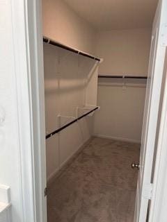 view of walk in closet