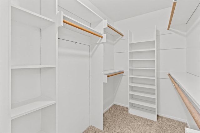 walk in closet with light carpet