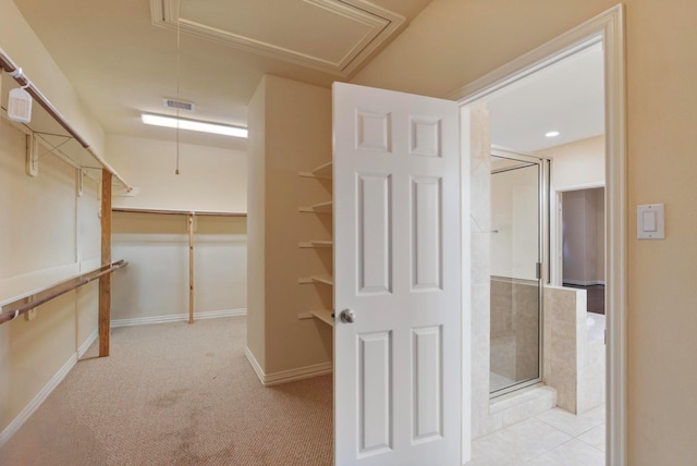 spacious closet with light carpet