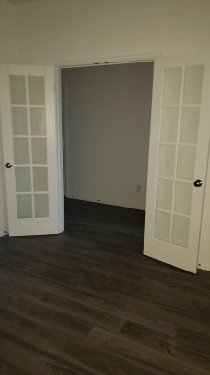 unfurnished room with dark wood-type flooring