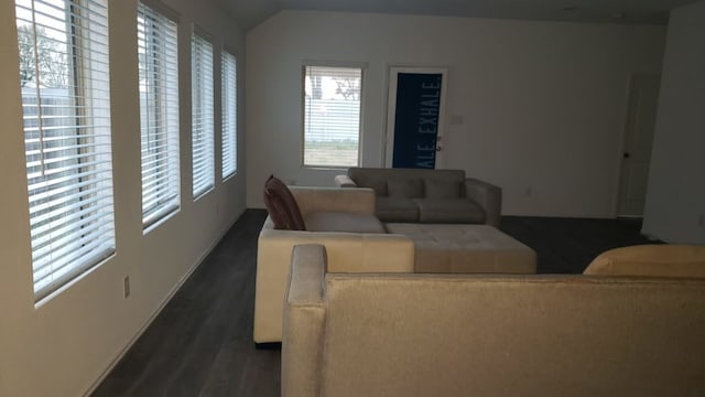 living room with dark hardwood / wood-style flooring and lofted ceiling