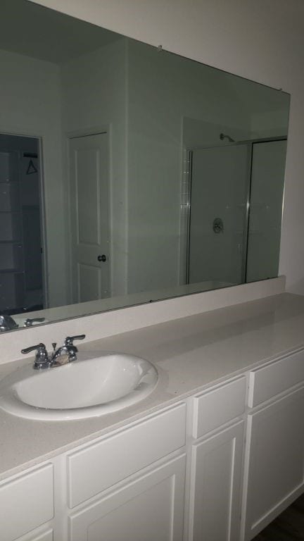 bathroom with vanity and walk in shower