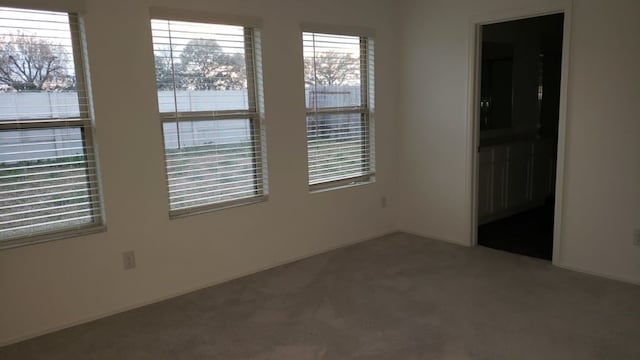 empty room featuring carpet