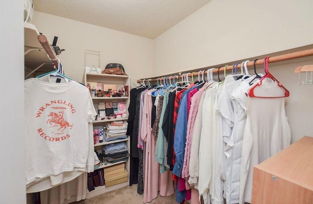 walk in closet with light carpet