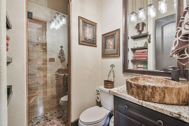 full bathroom featuring toilet, a stall shower, and vanity