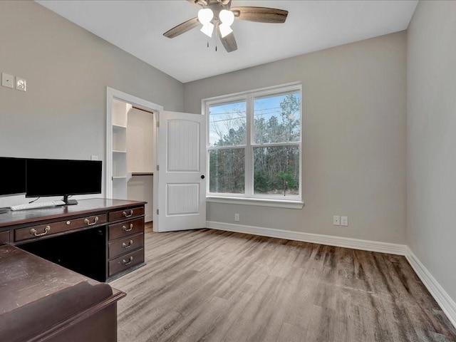 home office featuring light hardwood / wood-style floors and ceiling fan