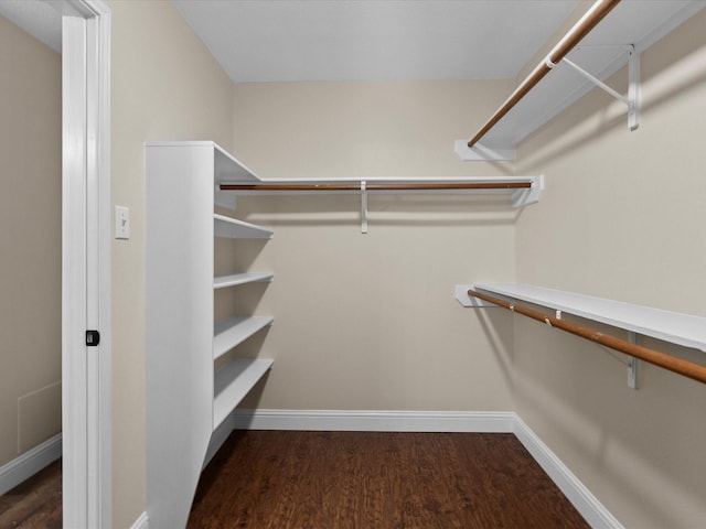 spacious closet featuring dark hardwood / wood-style flooring