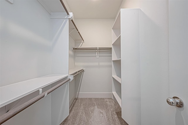 walk in closet with light colored carpet