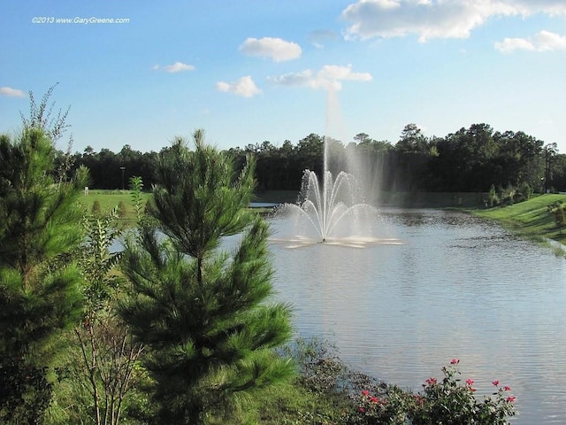 property view of water