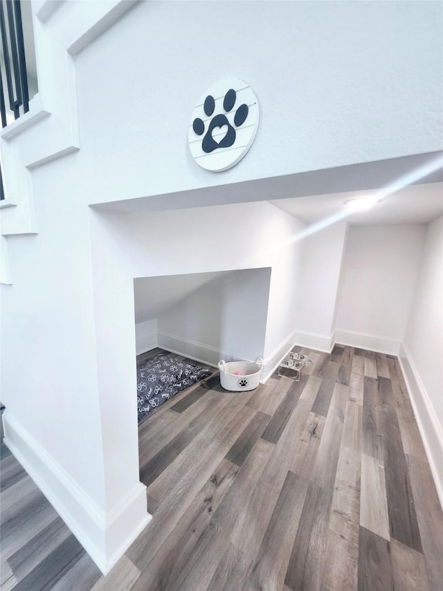 details featuring wood finished floors and baseboards