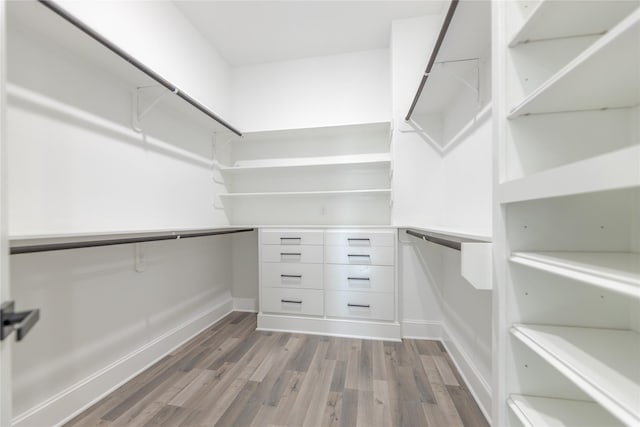 spacious closet featuring wood finished floors