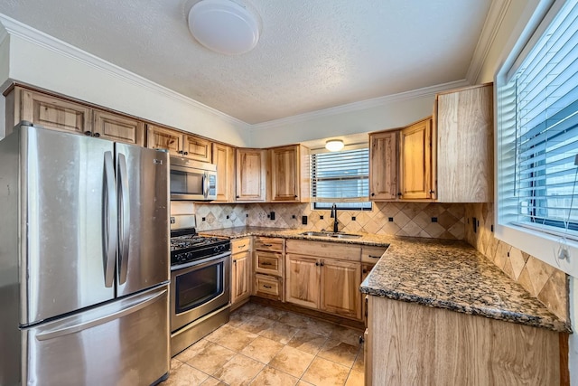 kitchen featuring sink, plenty of natural light, stainless steel appliances, and dark stone counters