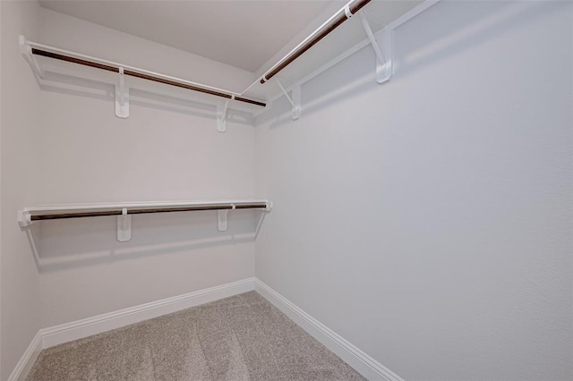 spacious closet featuring carpet floors